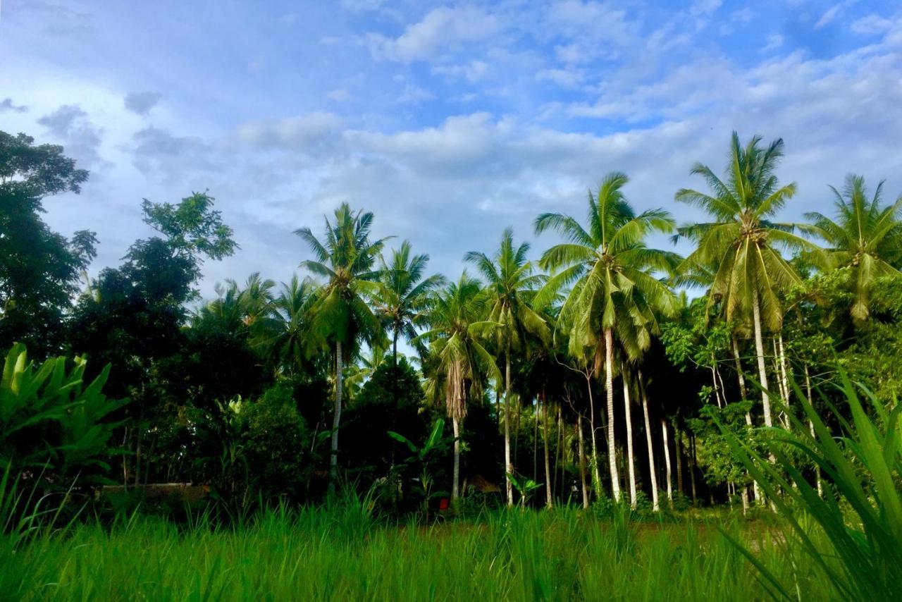 Chemel Homestay Kuta  المظهر الخارجي الصورة