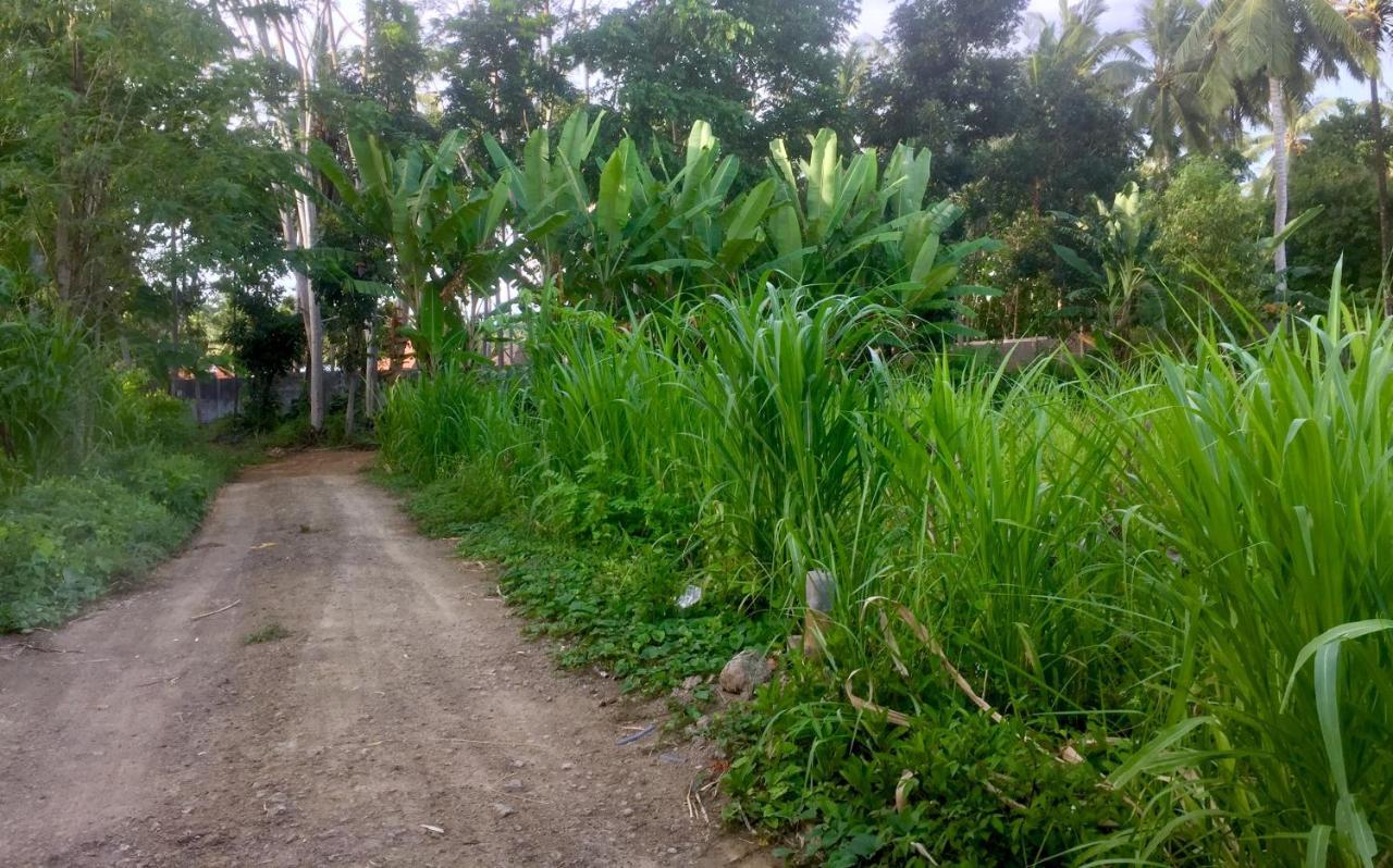 Chemel Homestay Kuta  المظهر الخارجي الصورة